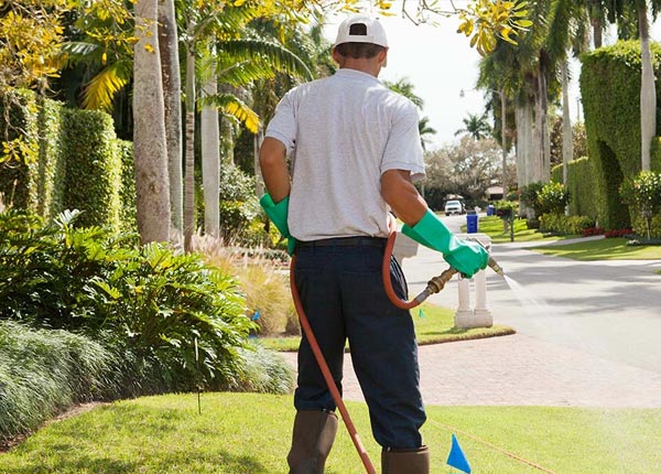 About Valhalla NY Pest Control